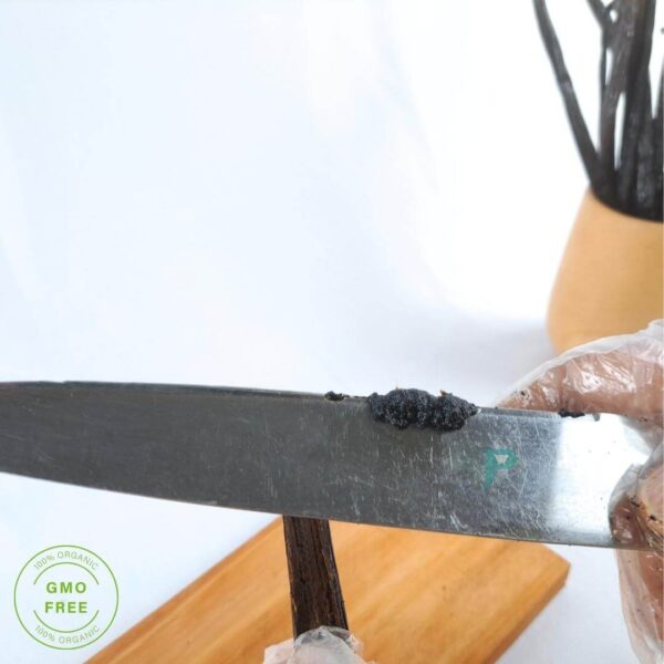 peeling inside vanilla beans